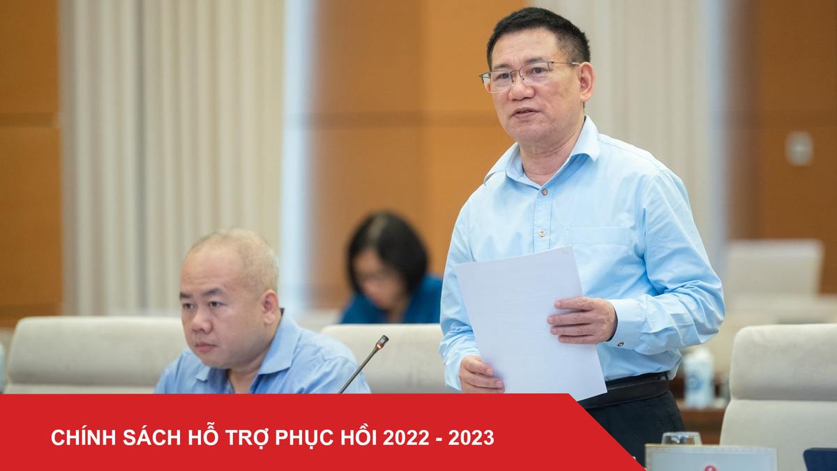 Chính sách hỗ trợ phục hồi 2022-2023